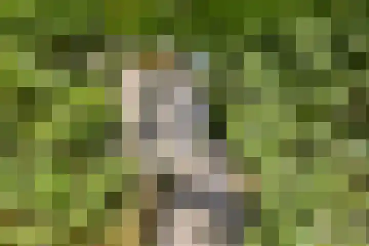 Potdijk 8 S124 Markelo thumbnail 24