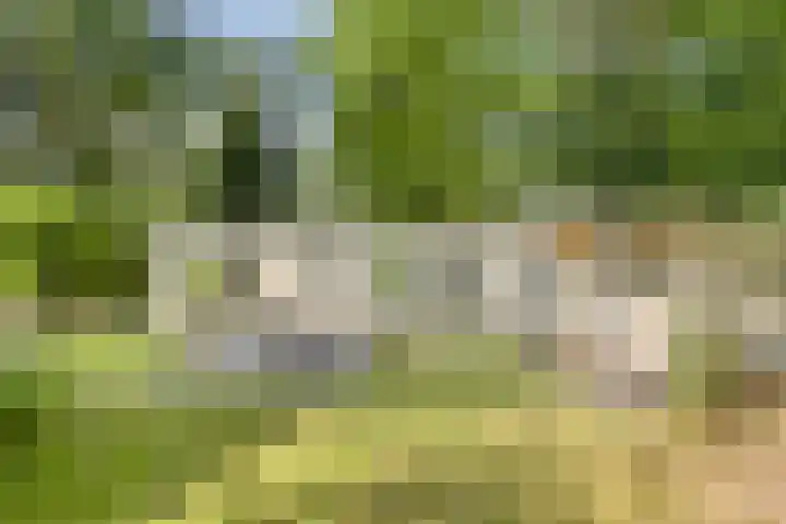 Potdijk 8 S124 Markelo thumbnail 29