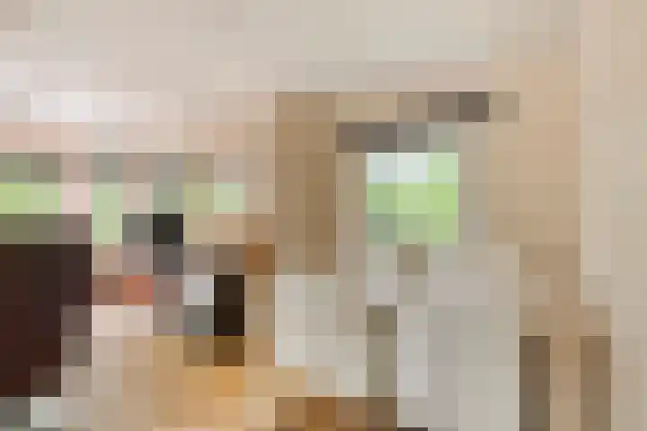 Potdijk 8 S124 Markelo thumbnail 9