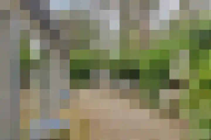 Potdijk 8 S129 Markelo thumbnail 25