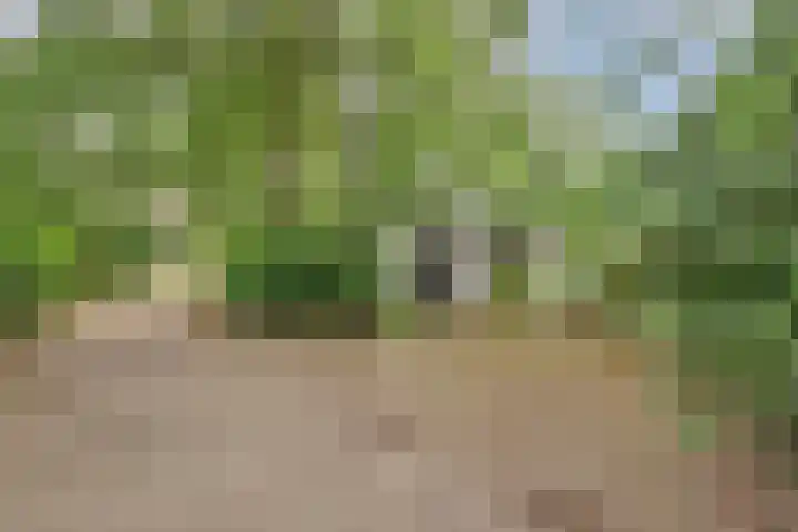 Potdijk 8 S129 Markelo thumbnail 30