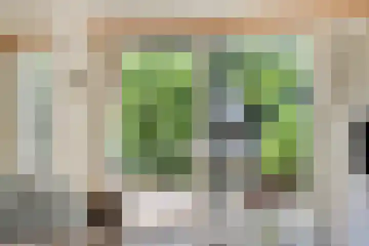 Potdijk 8 S129 Markelo thumbnail 4
