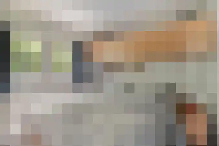 Potdijk 8 S140 Markelo thumbnail 21