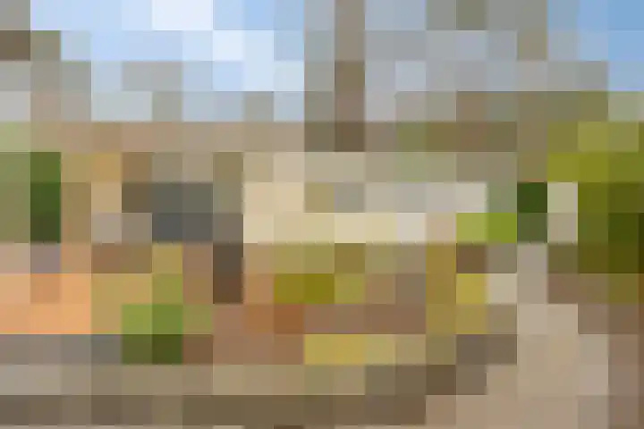 Potdijk 8 S140 Markelo thumbnail 25