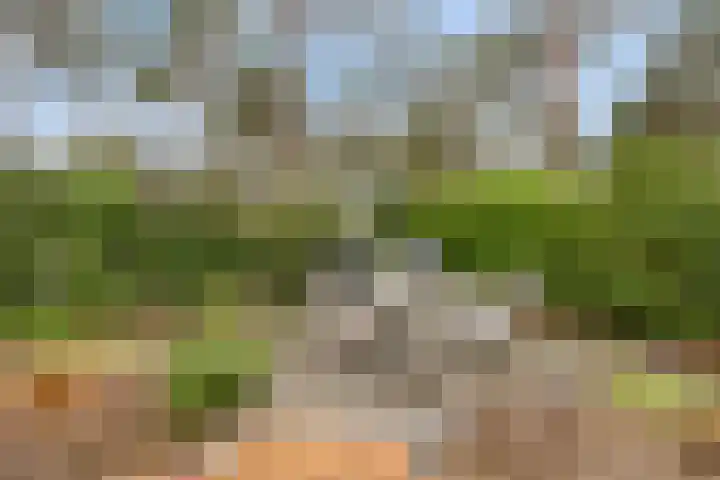 Potdijk 8 S140 Markelo thumbnail 28