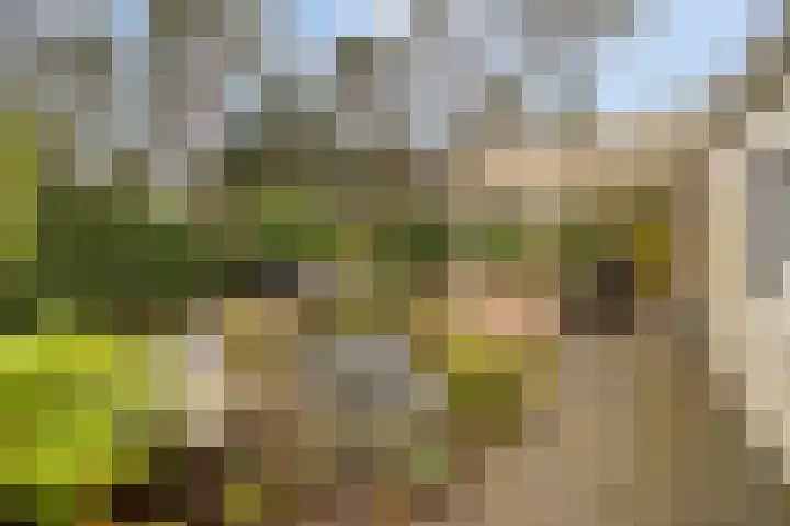 Potdijk 8 S140 Markelo thumbnail 31