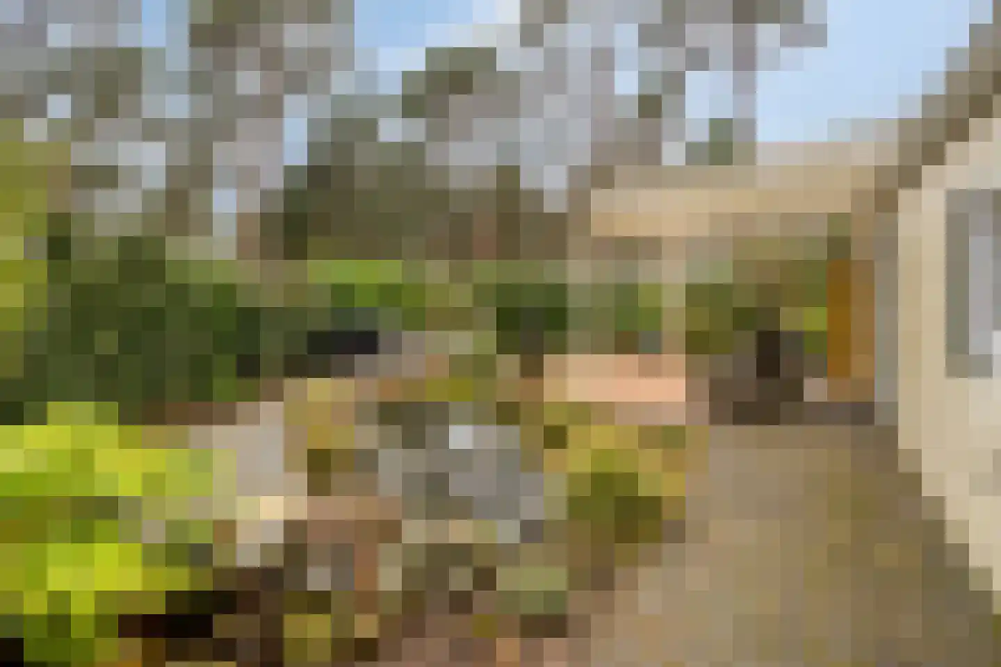Potdijk 8 S140 Markelo thumbnail 31