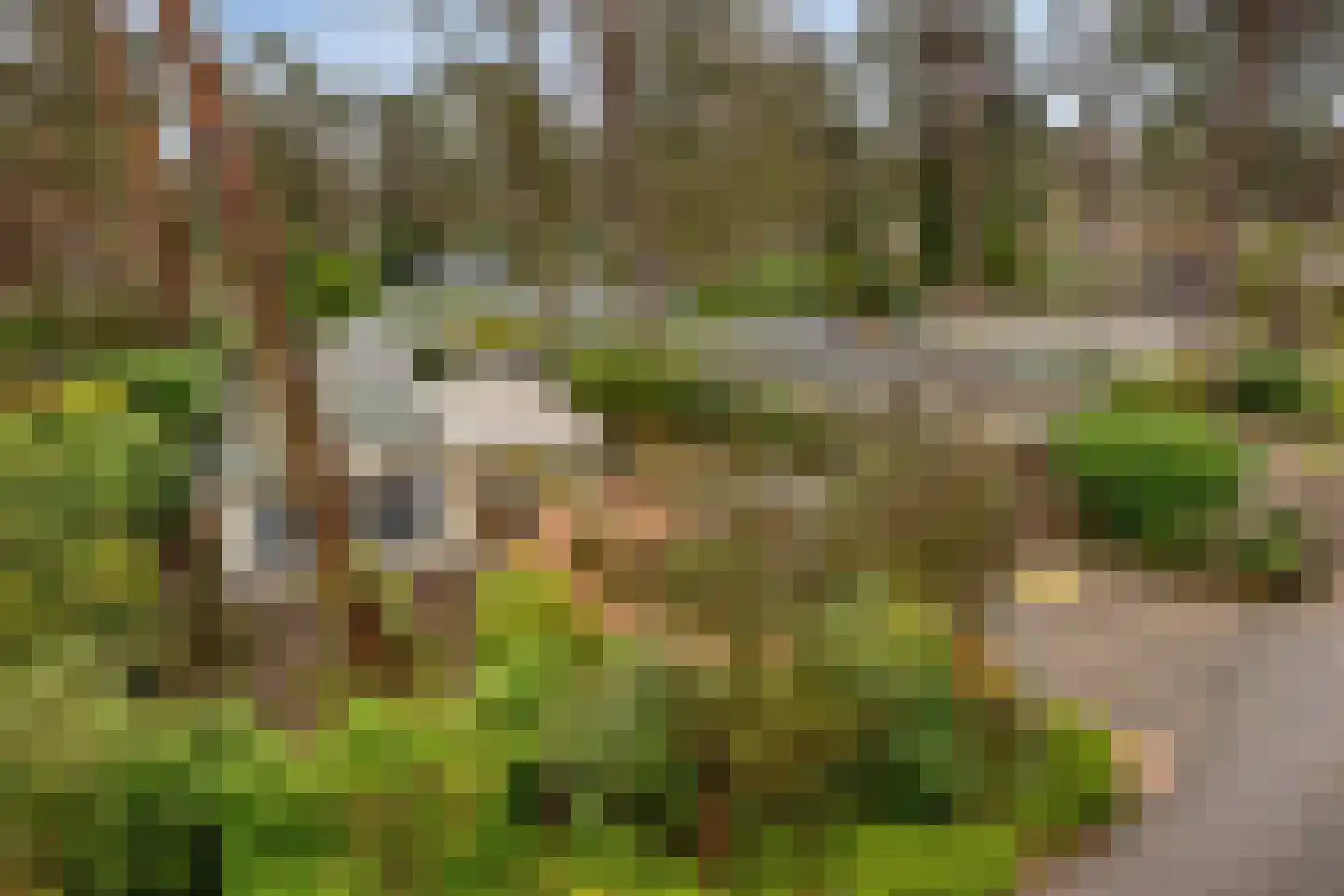 Potdijk 8 S140 Markelo thumbnail 32