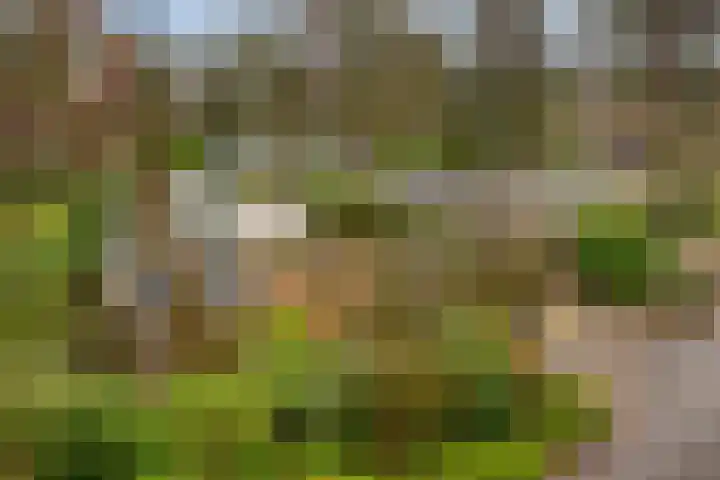 Potdijk 8 S140 Markelo thumbnail 32