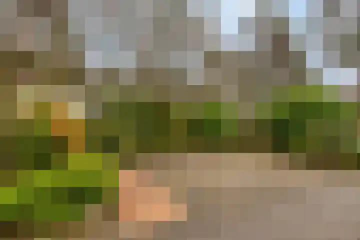 Potdijk 8 S140 Markelo thumbnail 33