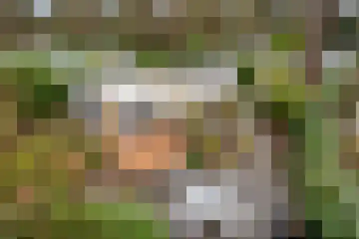 Potdijk 8 S140 Markelo thumbnail 4