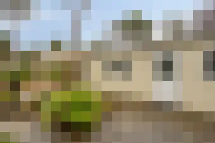 Potdijk 8 S140 Markelo thumbnail 5