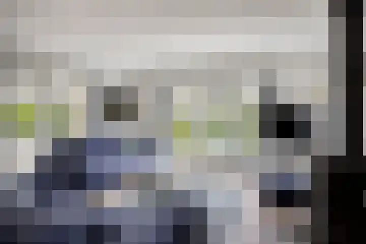 Potdijk 8 S140 Markelo thumbnail 7
