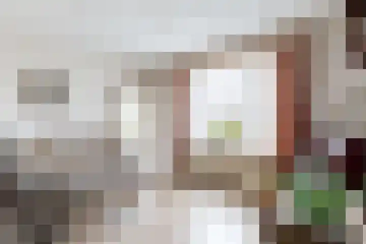 Potenblokseweg 7 Heijningen thumbnail 10
