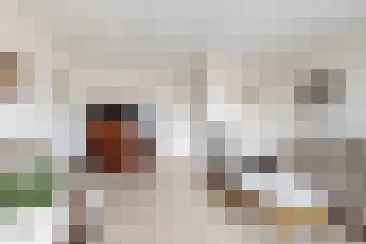 Potenblokseweg 7 Heijningen thumbnail 12