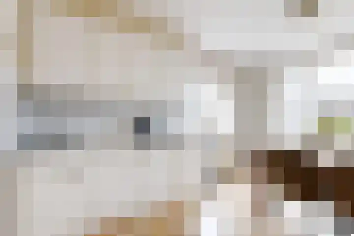 Potenblokseweg 7 Heijningen thumbnail 16