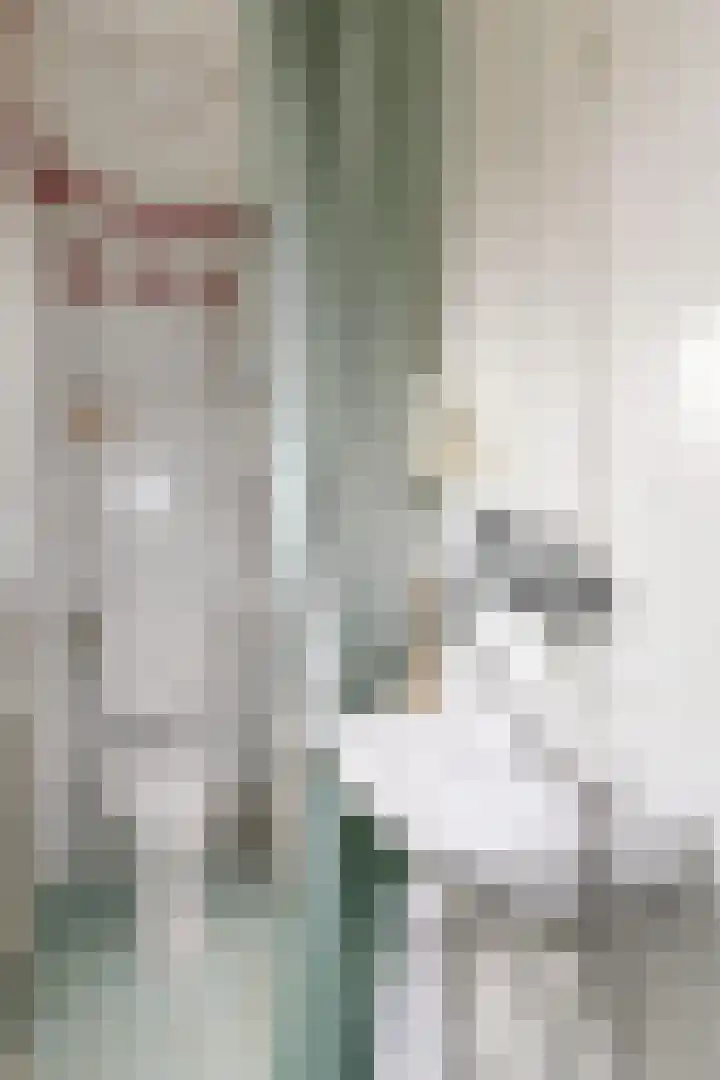 Potenblokseweg 7 Heijningen thumbnail 19