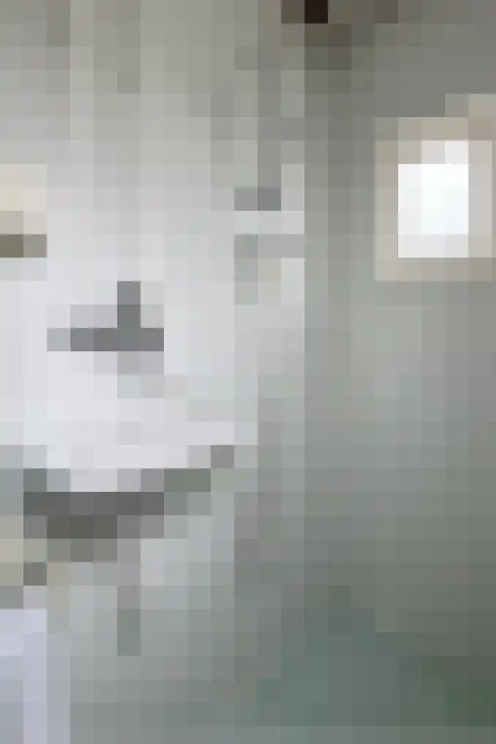 Potenblokseweg 7 Heijningen thumbnail 21