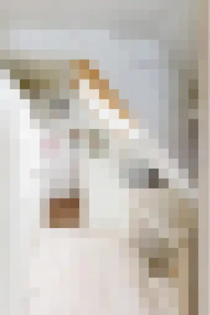 Potenblokseweg 7 Heijningen thumbnail 22