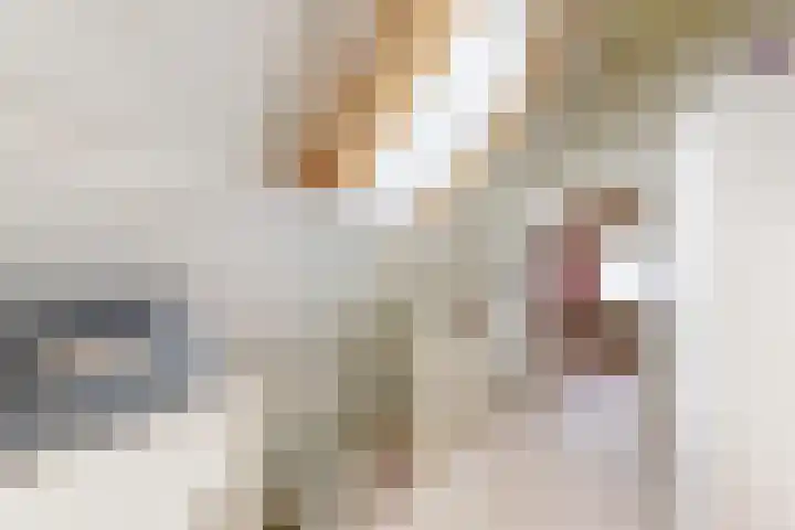 Potenblokseweg 7 Heijningen thumbnail 23