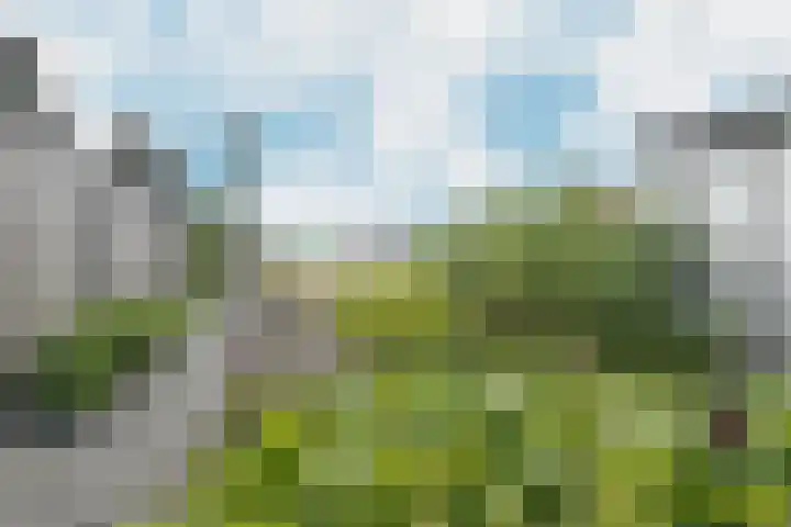 Potenblokseweg 7 Heijningen thumbnail 39