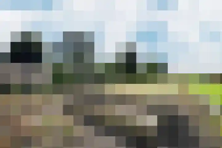 Potenblokseweg 7 Heijningen thumbnail 40