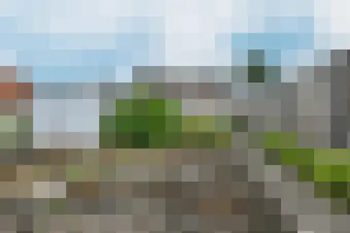 Potenblokseweg 7 Heijningen thumbnail 41