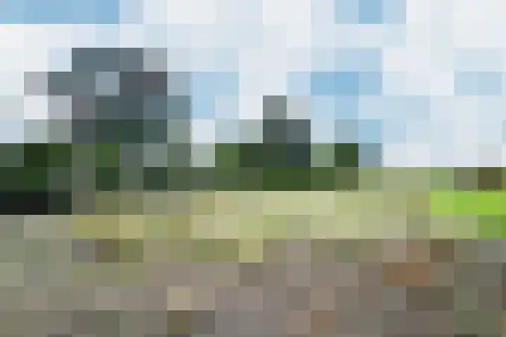 Potenblokseweg 7 Heijningen thumbnail 42
