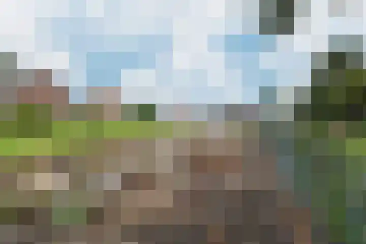 Potenblokseweg 7 Heijningen thumbnail 43