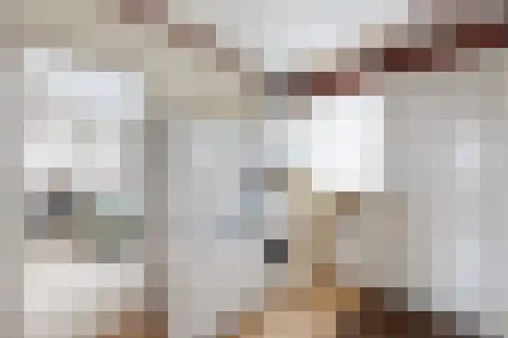 Potenblokseweg 7 Heijningen thumbnail 7