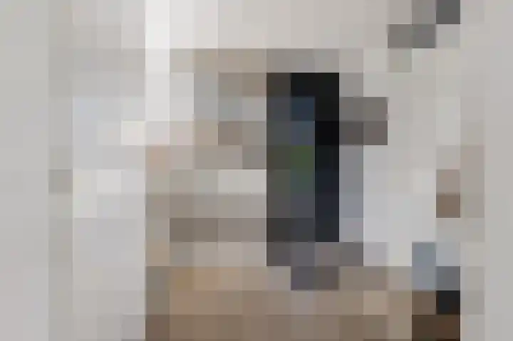 Poterne 1 Vijfhuizen thumbnail 10