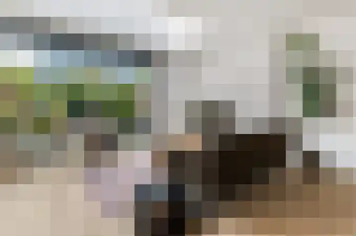 Poterne 1 Vijfhuizen thumbnail 20