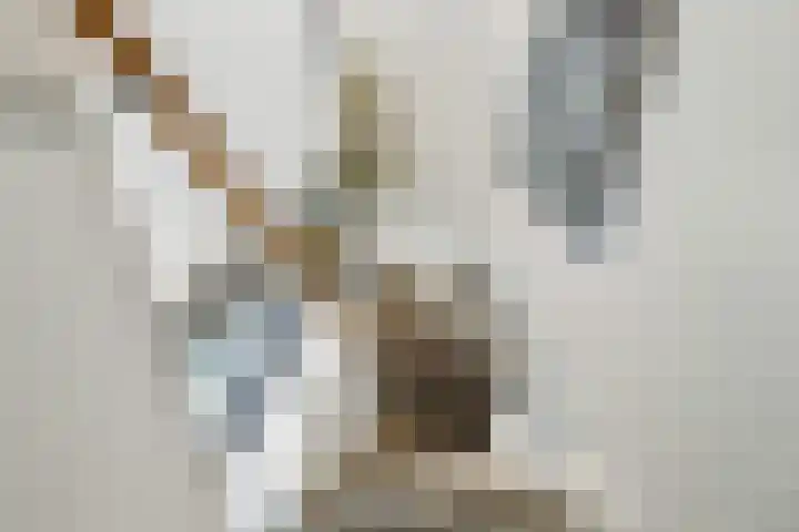 Poterne 1 Vijfhuizen thumbnail 31