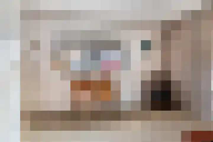 Poterne 1 Vijfhuizen thumbnail 37