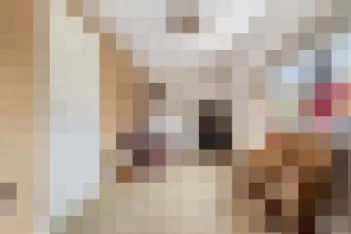 Poterne 1 Vijfhuizen thumbnail 38