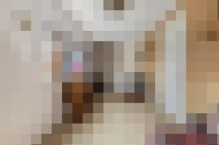 Poterne 1 Vijfhuizen thumbnail 39