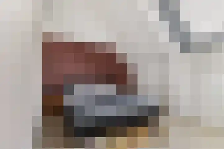 Poterne 1 Vijfhuizen thumbnail 42
