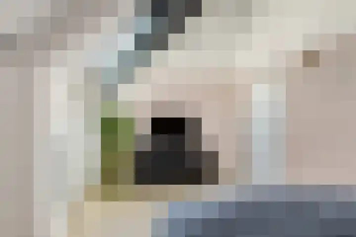 Poterne 1 Vijfhuizen thumbnail 43