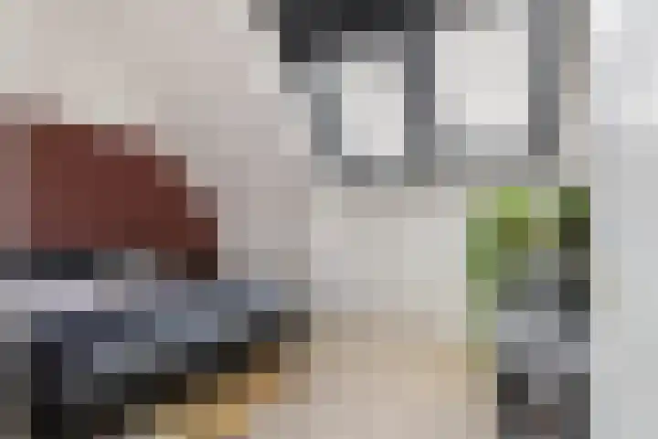 Poterne 1 Vijfhuizen thumbnail 6