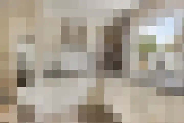 Poterne 13 Veldhoven thumbnail 10
