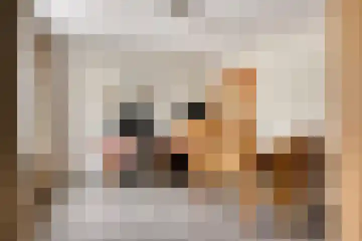 Poterne 13 Veldhoven thumbnail 13