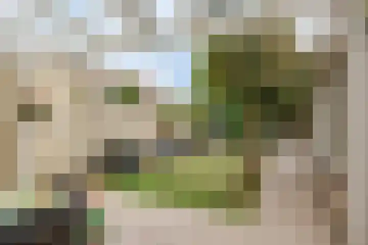 Poterne 13 Veldhoven thumbnail 28