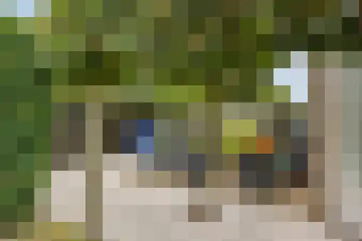 Poterne 13 Veldhoven thumbnail 29