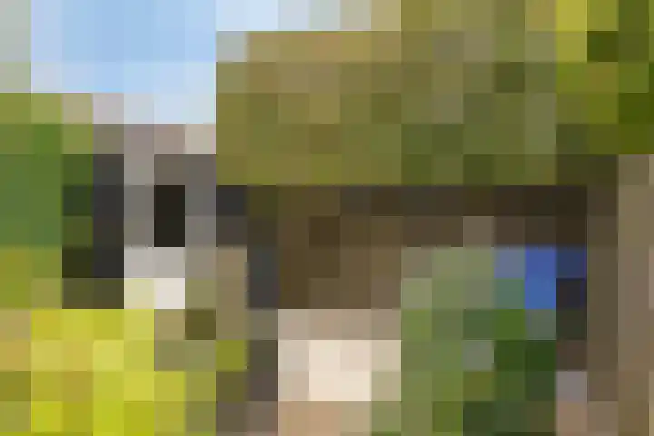 Poterne 13 Veldhoven thumbnail 31