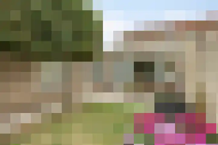Poterne 13 Veldhoven thumbnail 4