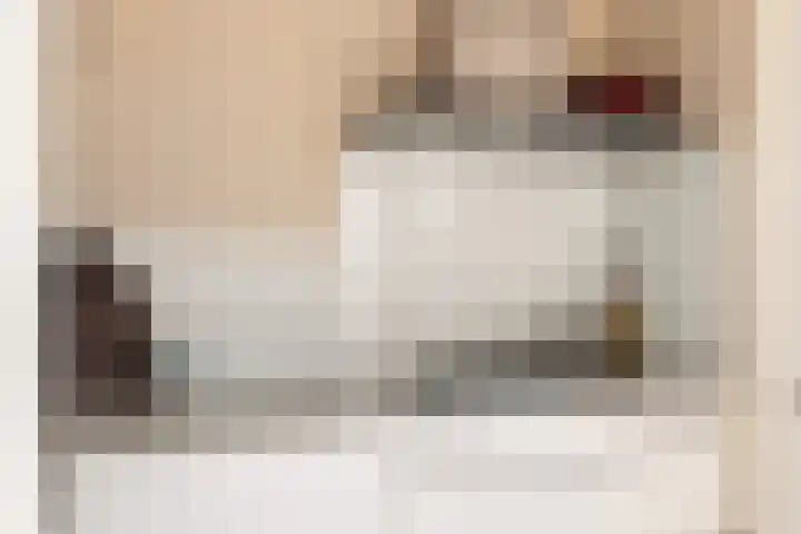 Poterne 8 Vijfhuizen thumbnail 16