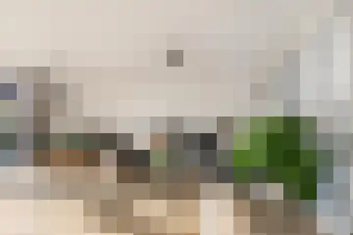Poterne 8 Vijfhuizen thumbnail 9