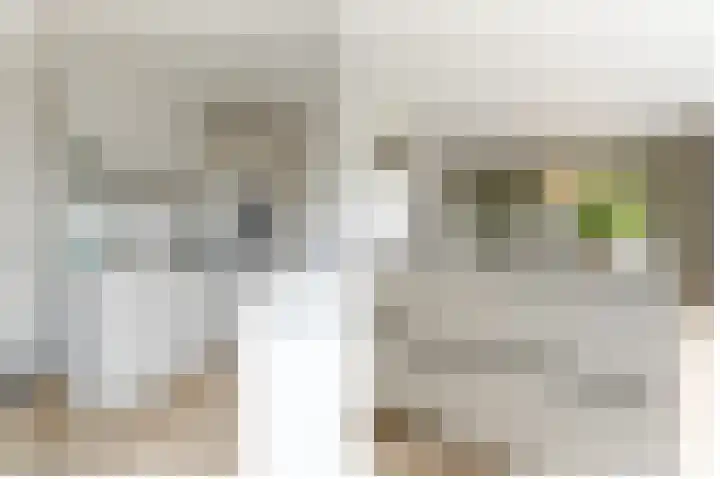 Poternehof 3 Langerak thumbnail 12