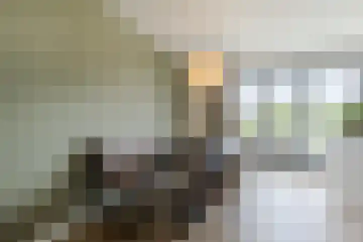 Poternehof 3 Langerak thumbnail 13