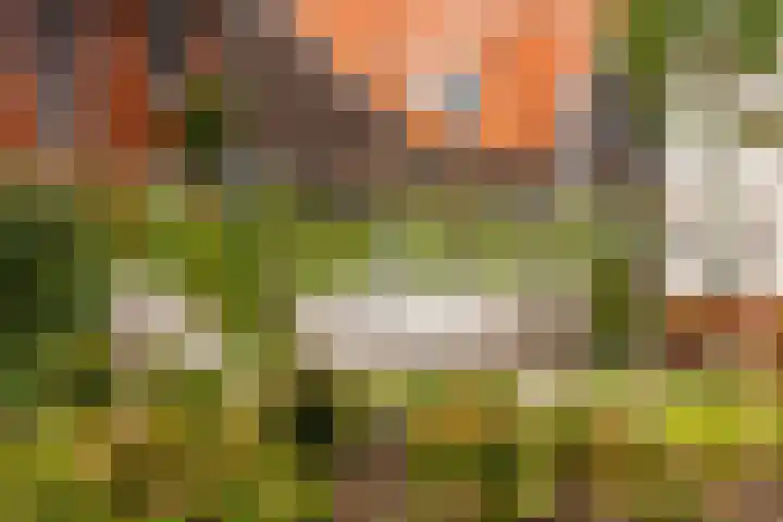 Poternehof 3 Langerak thumbnail 35